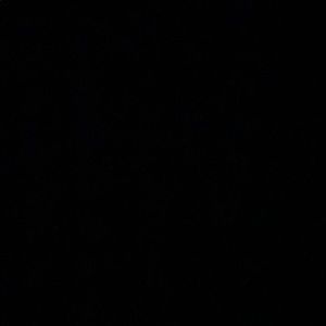 Meet your Posher, Deontre